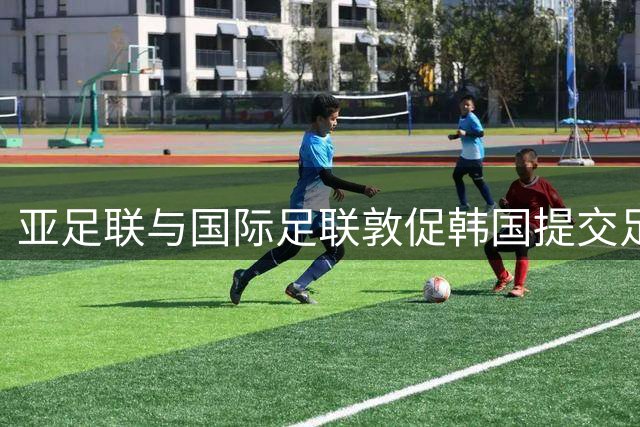 亚足联与国际足联敦促韩国提交足球改革最新情况