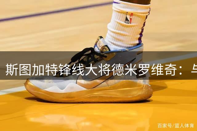 斯图加特锋线大将德米罗维奇：与主帅默契无间 从未想过转会